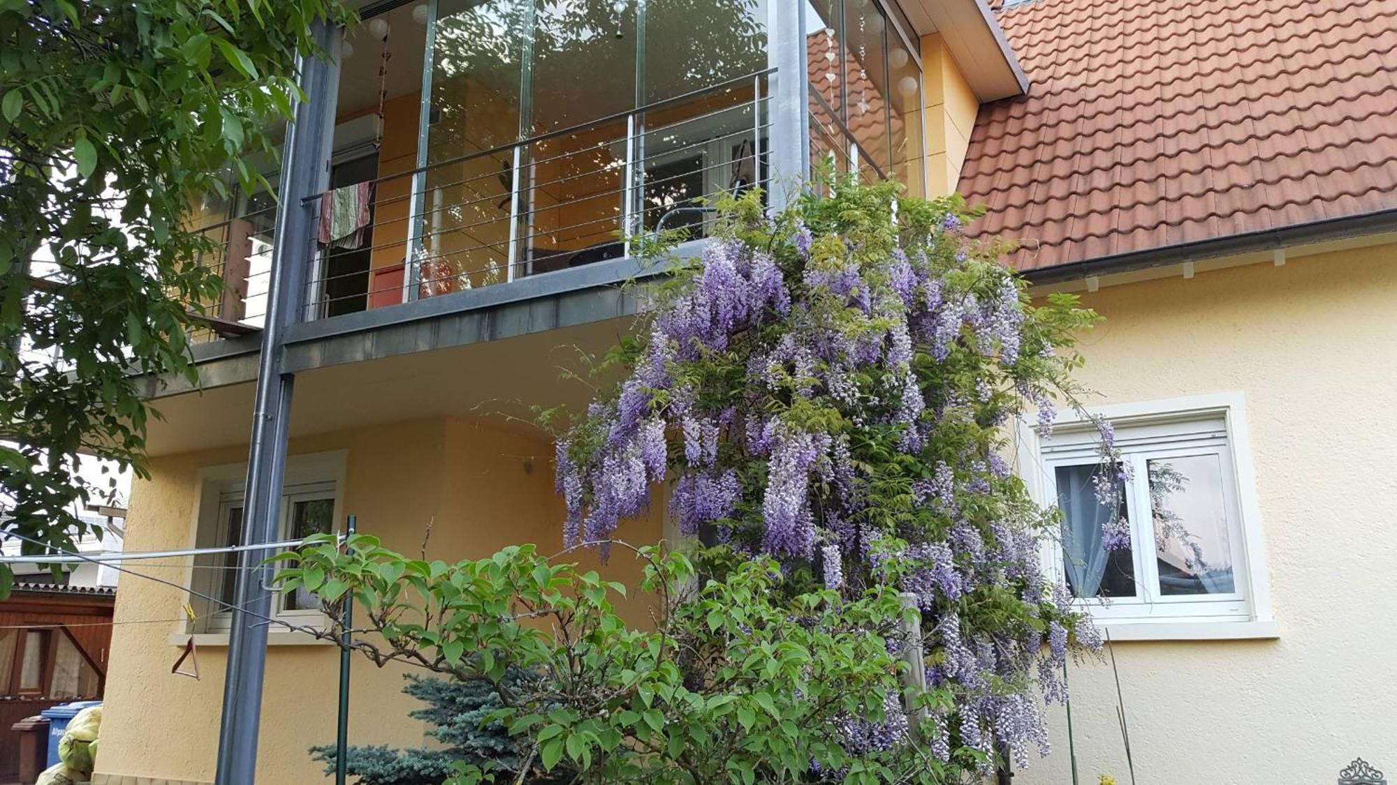 Ferienwohnung Miezerle Steisslingen Buitenkant foto